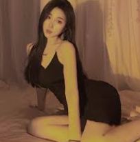 李顾问案例页